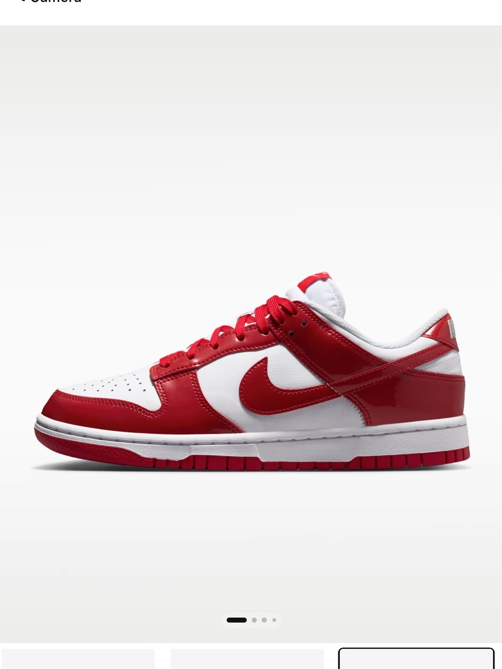 Nike Kids Red and White Low-Top Skate Sneakers